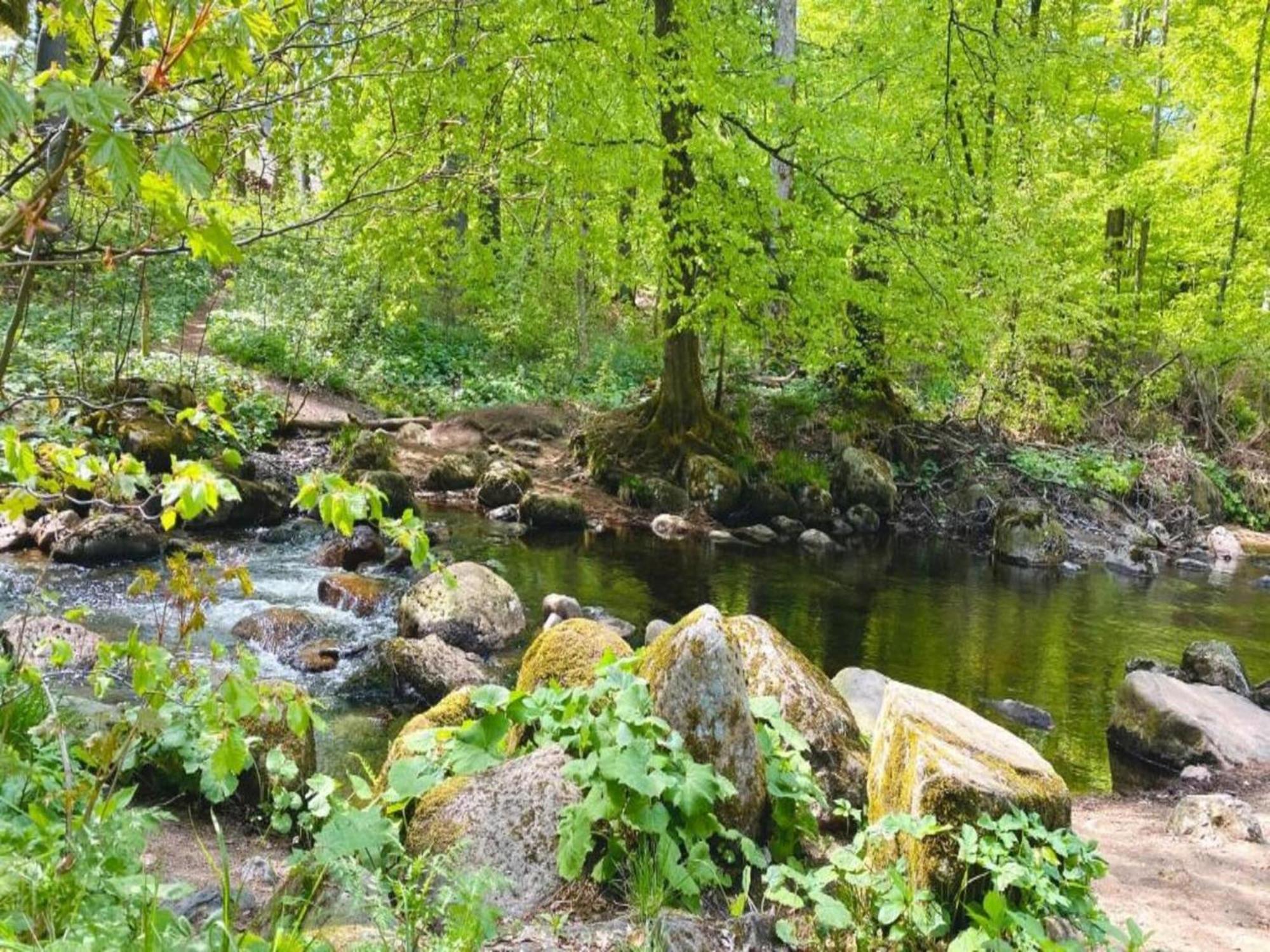 Holiday Home Hexenstieg In The Harz Mountains إليند المظهر الخارجي الصورة